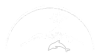 Dolphin Star Temple Logo